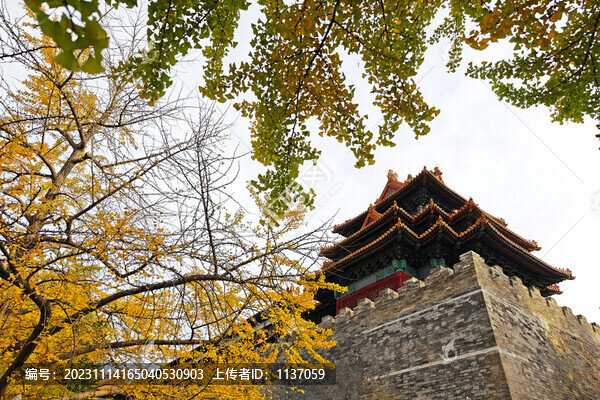 北京故宮角樓秋色
