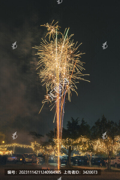節(jié)日里燃放的噴花類煙花