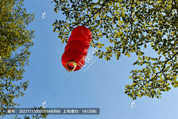 紅燈籠