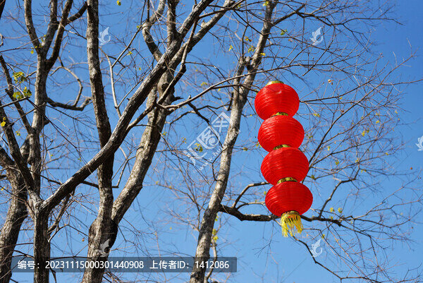 紅燈籠