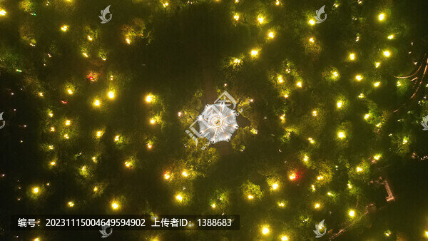 紹興文筆塔夜景