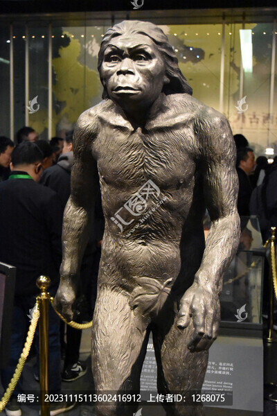 藍田人