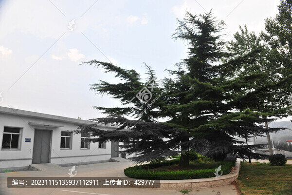 廠區(qū)廠房