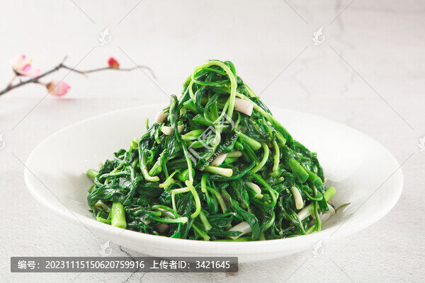 馬蘭頭