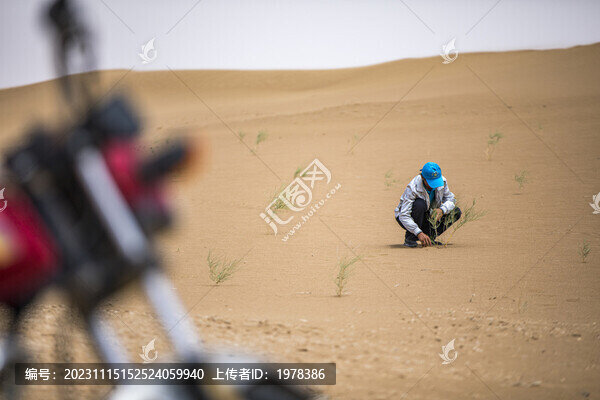 種樹治沙成果