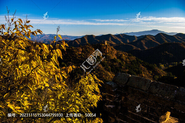 金山嶺長城秋色
