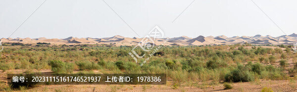 沙漠