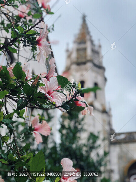 歐洲城市街景朱槿花城堡