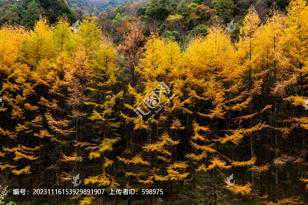 神農(nóng)架秋天自然風(fēng)光