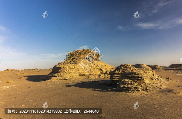 額濟(jì)納沙漠風(fēng)景