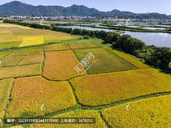 廣東惠州鄉(xiāng)村田園風(fēng)光