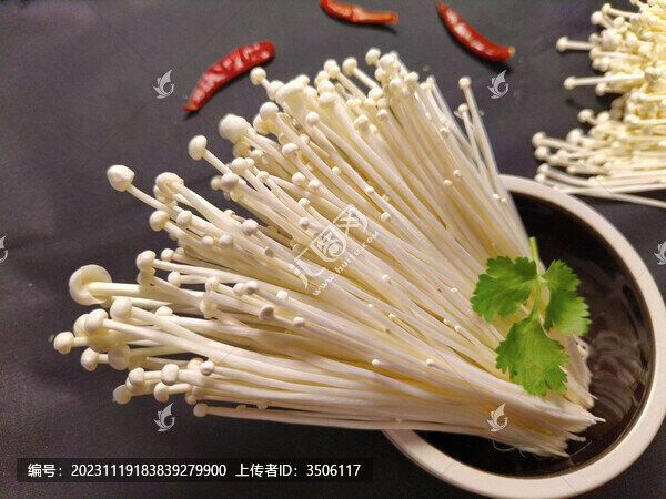 金針菇
