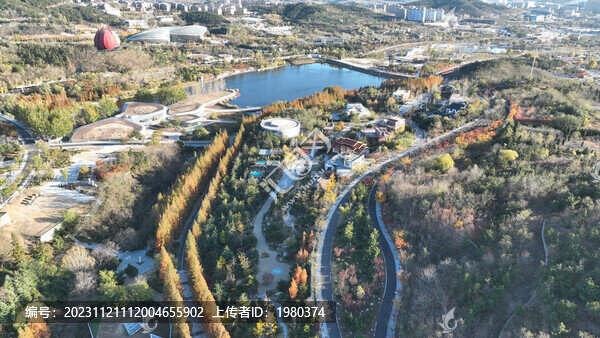 航拍青島世博園水杉樹(shù)