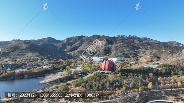 航拍青島世博園水杉樹