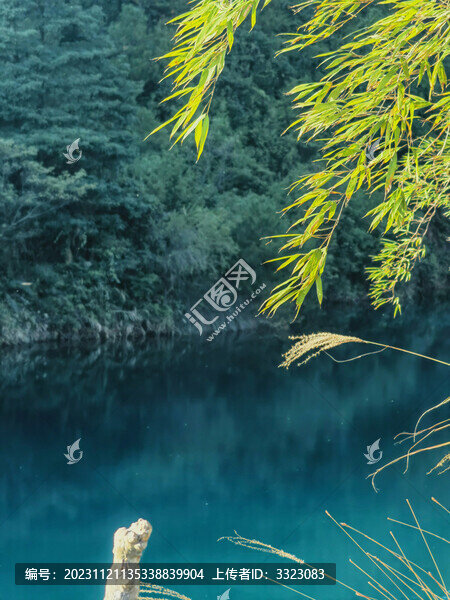 海洋之心