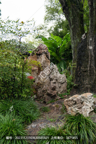 拙政園庭院