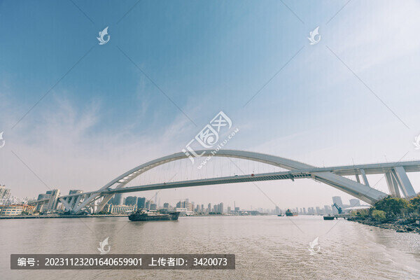 上海城市景觀盧浦大橋