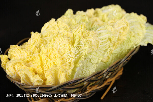 娃娃菜