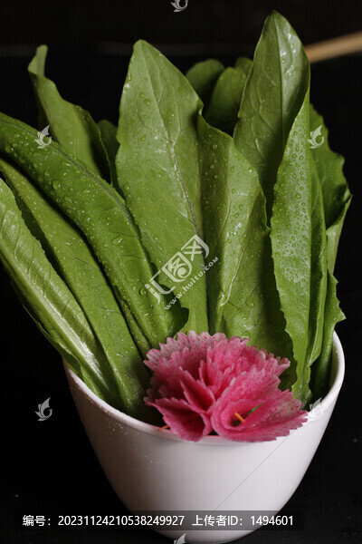油麥菜