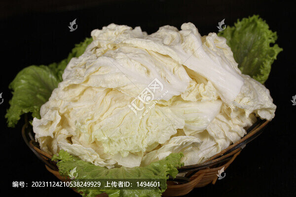 圓白菜