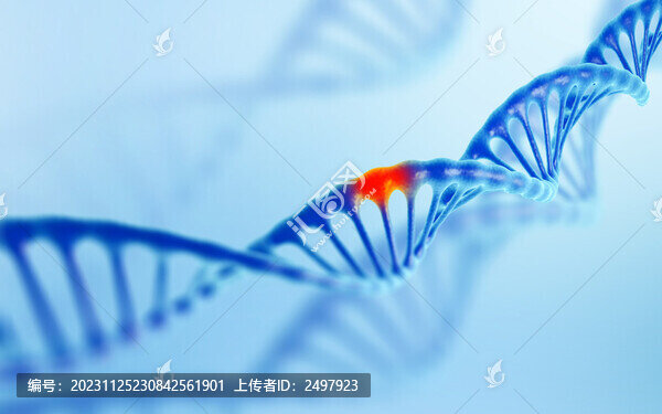 被感染的DNA图