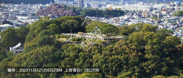 城市與綠地