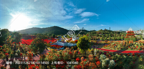 南寧青秀山葉子公園