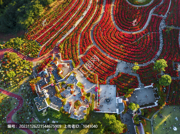 南寧市青秀山葉子公園