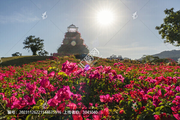 南寧市青秀山葉子公園