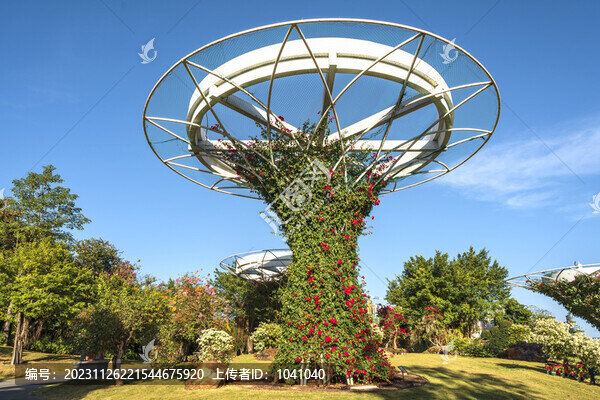 南寧市青秀山葉子花園