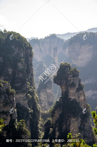 張家界袁家界阿凡達(dá)取景地