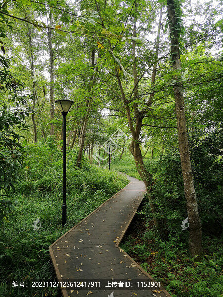 公園步道