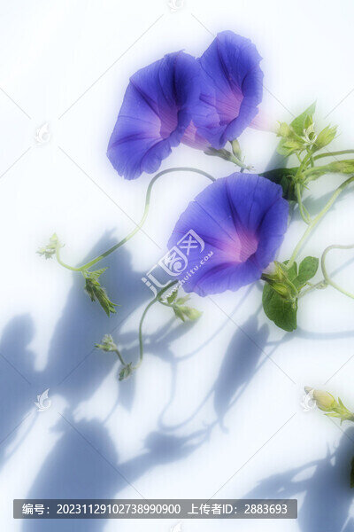 牽?；? title=