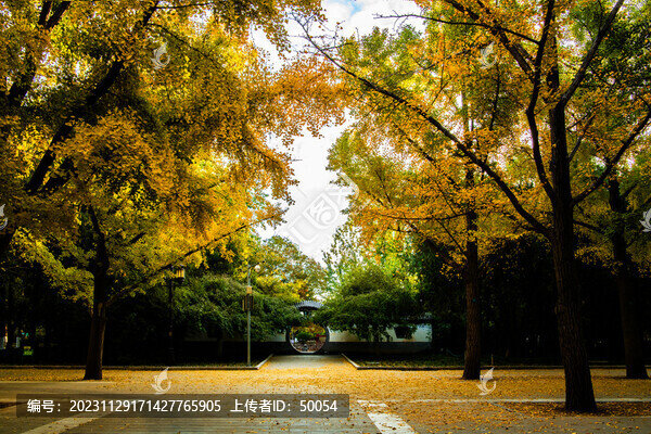 北京地壇公園秋色