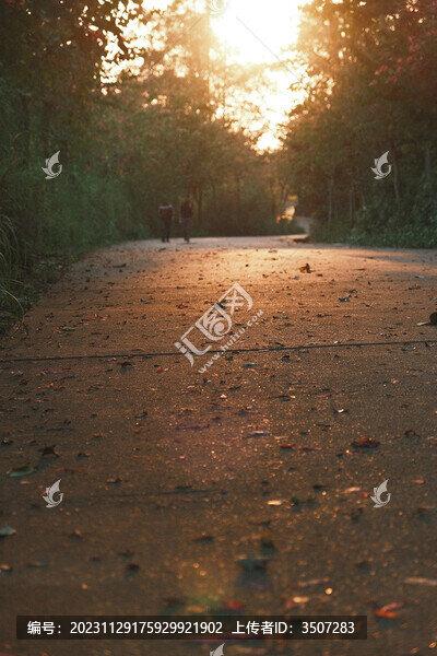 夕陽林間小路