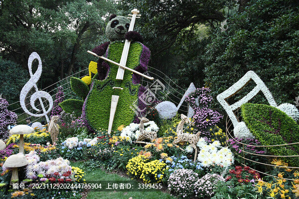 菊花展