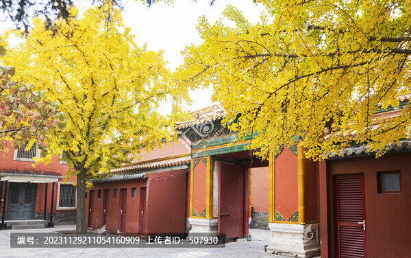 故宮秋景