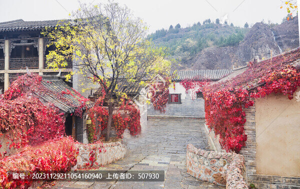 古鎮(zhèn)紅葉