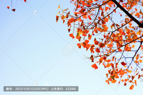 武漢舵落口江灘公園