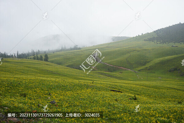草原牧場