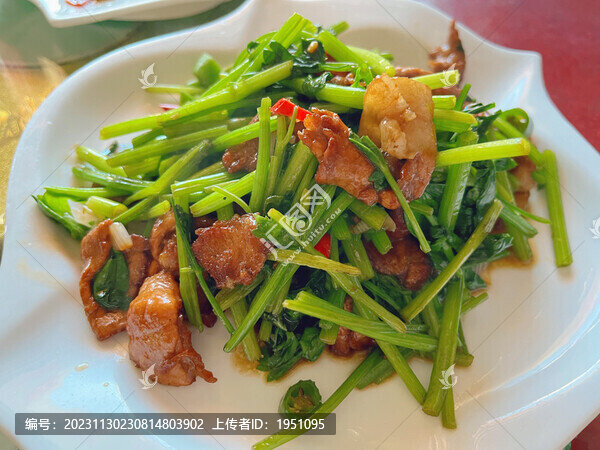 毛芹菜炒肉