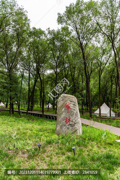 北京九眼樓長城景區(qū)萃林