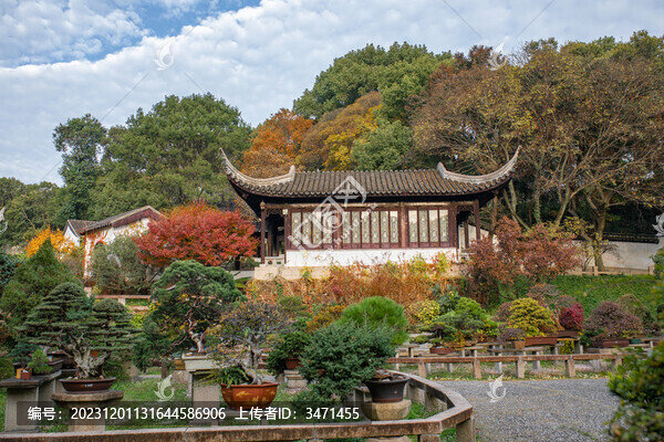 虎丘秋景