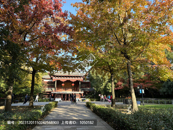 古典園林紅楓季節(jié)