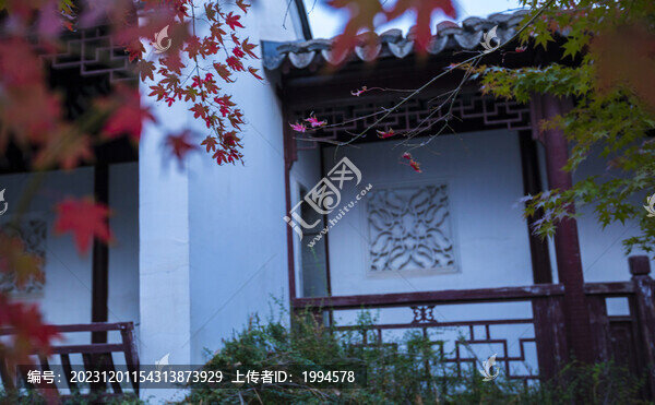 秋景