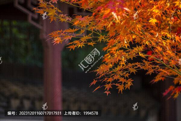 秋色