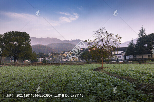 西遞古鎮(zhèn)