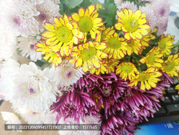 鮮花
