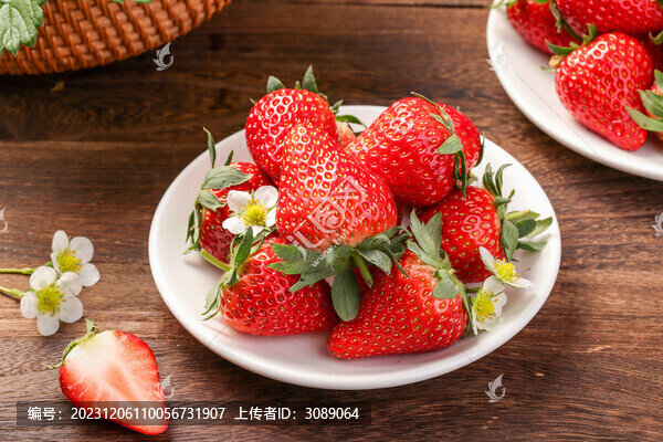 鮮草