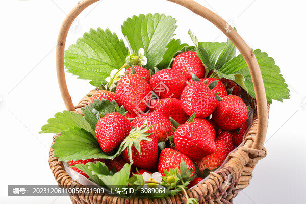 新鮮草莓